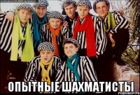  опытные шахматисты