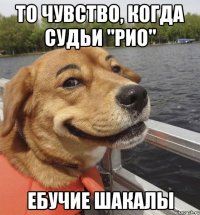 то чувство, когда судьи "рио" ебучие шакалы
