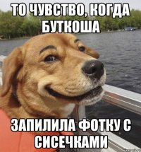 то чувство, когда буткоша запилила фотку с сисечками