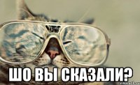  шо вы сказали?