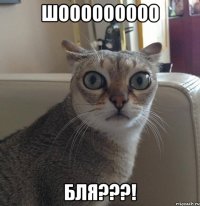 шооооооооо бля???!