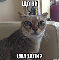 Що ви сказали?