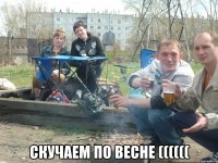  скучаем по весне ((((((