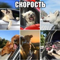 скорость 