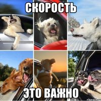 скорость это важно