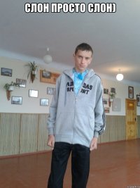 Слон просто слон) 