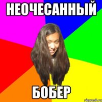 неочесанный бобер