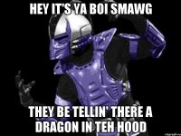 hey it's ya boi smawg they be tellin' there a dragon in teh hood