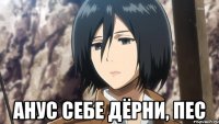  Анус себе дёрни, пес