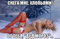 снега мне, хлопьями! от тебя, "дед мороз"...