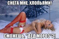 снега мне, хлопьями! сможешь, "дед мороз"?!