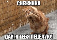 снежинко дай, я тебя пецелую!