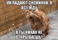 уж падают снежинки, я всё жду а ты никак не открываешь!