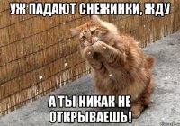 уж падают снежинки, жду а ты никак не открываешь!