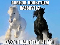 снежок, копытцем наебнуть? хаха, я ждал тебя, зима!