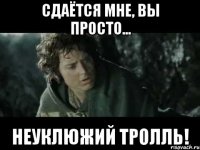 сдаётся мне, вы просто... неуклюжий тролль!