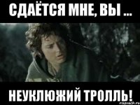 сдаётся мне, вы ... неуклюжий тролль!