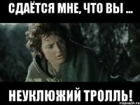сдаётся мне, что вы ... неуклюжий тролль!