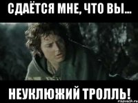 сдаётся мне, что вы... неуклюжий тролль!