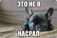 это не я насрал