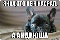 Янка,это не я насрал, а Андрюша