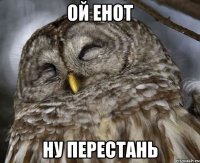 ОЙ ЕНОТ НУ ПЕРЕСТАНЬ