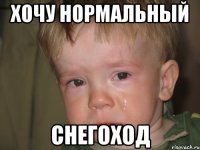 Хочу нормальный Снегоход