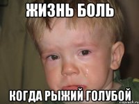 Жизнь боль когда Рыжий голубой