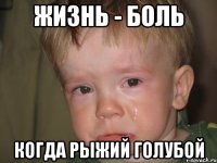 Жизнь - боль когда Рыжий голубой