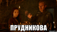  Прудникова