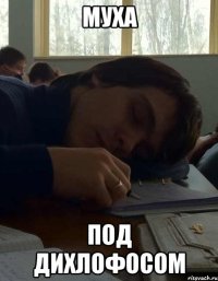 муха под дихлофосом