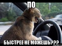 по быстрее не можешь???