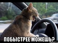  побыстрее можешь?