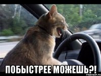  побыстрее можешь?!