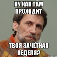 Ну как там проходит твоя зачётная неделя?