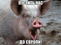 пустить нас до Європи!