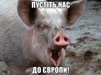 пустiть нас до Європи!