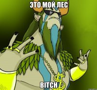 Это мой лес bitch