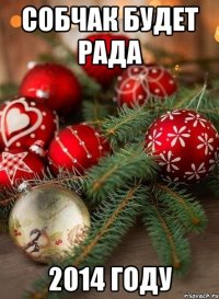 Собчак будет рада 2014 году