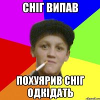 сніг випав похуярив сніг одкідать
