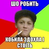 шо робить кобила здохла і стоїть