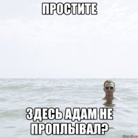 Простите здесь Адам не проплывал?