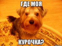 где моя курочка?