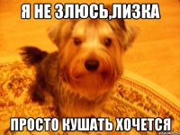 я не злюсь,лизка просто кушать хочется