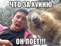 что за хуйню он поет!!!