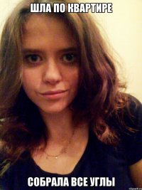 шла по квартире собрала все углы