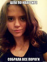 шла по квартире собрала все пороги