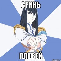 Сгинь Плебей