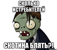 Сколько истребителей Скотина Блять?!