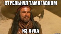 Стрельнул тамогавком Из лука